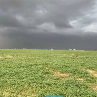 ساري — Sari (@r07alm) Twitter profile photo