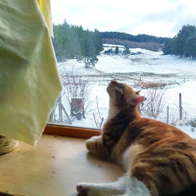 Rainbow_FirefIy's profile picture. ✨ 35 yo french mom ✨

🛒 Etsy shop owner
📚 Book-worm
🎮 Geek-gaming/Twitch/YT addict

Other hobbies and loves :  📸 🌱 🍜 🌌 🎨 🎶 💄 🐱