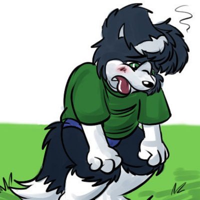 Hi I'm Roni, I'm a naughty border collie cub in blue undies; who loves blue undies, who lives with his older brothers Jesse and Cam Collins.