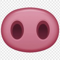 Cheiro de Rola ๐ฝ (17K) (@cheiro_de_rola) 's Twitter Profile