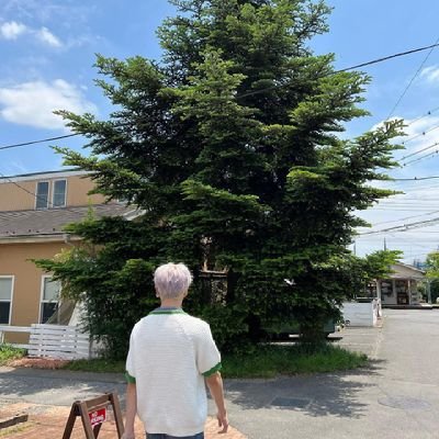 cheetaeyong's profile picture. semangattt💞 free tag