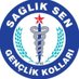 Sağlık-Sen Artvin Gençlik Kolları Başkanlığı (@ss_genclik08) Twitter profile photo