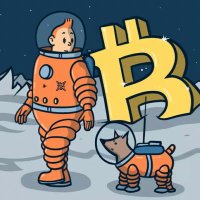 ₿it Tintin (@cryptotintin8) 's Twitter Profile