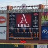 omahogs45's profile picture. Lifelong Arkansas Razorbacks baseball fan #WPS #thisisbaseball