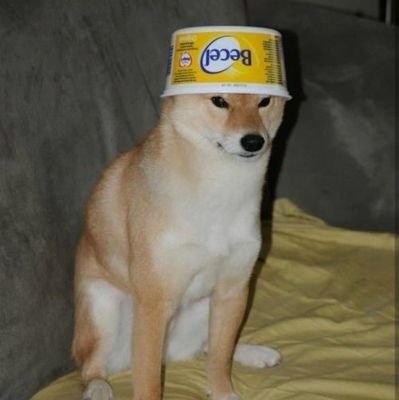 yang19960425's profile picture. 