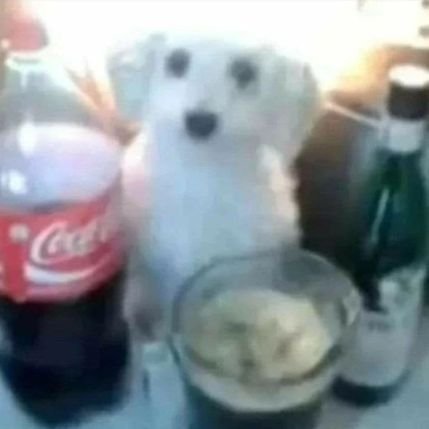 g4ston___'s profile picture. .