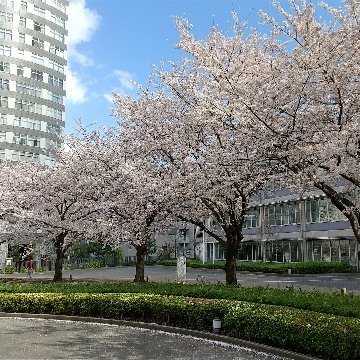 No art, no life.
写真やアートの好きな方、全国の写真好きさん と知り合いたくて、ツイッターを始めました。フォローいただければうれしいです！ 写真アカウント 大歓迎！✨🌈

絵に興味のある方は @indigoblue0325 を覗いてみてください！😊