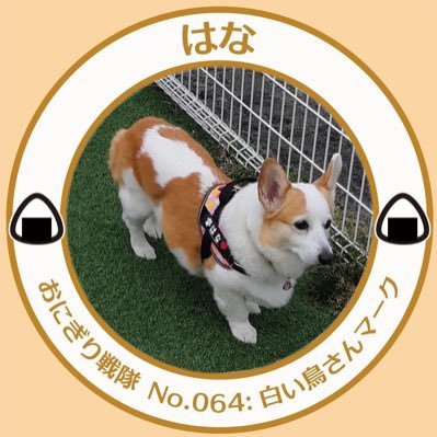 mi987's profile picture. 見る専門の、おはなさまパパです。