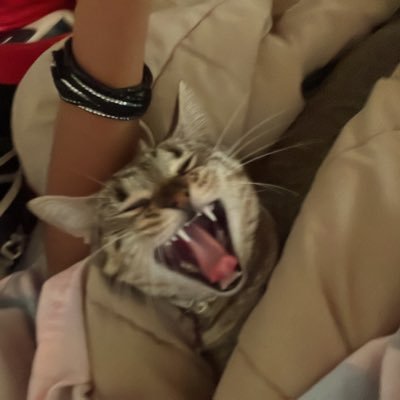 CelinaPeralta2's profile picture. ♎️👸🏼