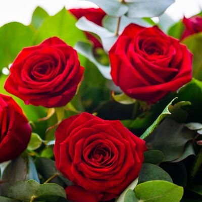 milbach14's profile picture. 