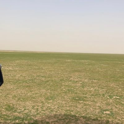 k9FM2x8IDXEhf3l's profile picture. 