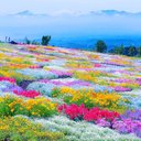 Jasmine Roper - @Jasmine41559300 - Twitter