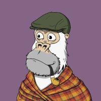 gatsybys 🐍 (@gatsybys) 's Twitter Profile