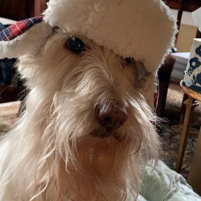 follow me on Bluesky https://t.co/pDb5hdnv9N