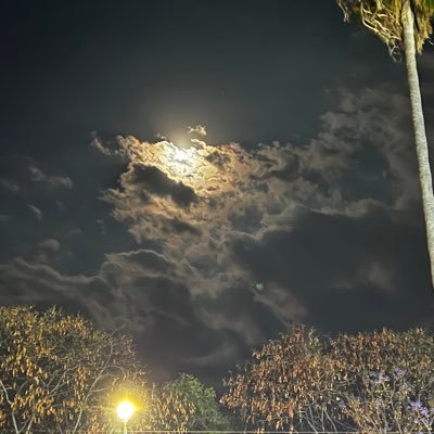 FelipeH280's profile picture. I’m awesome.