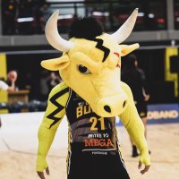 Franklin Bulls Basketball(@franklinbullsnz) 's Twitter Profile Photo