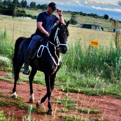 Fayaaz7's profile picture. #FreePalestine 🇵🇸                               LFC; Arabian Horses