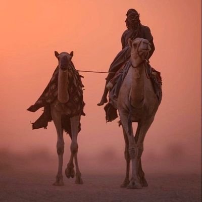 YasirBa88795356's profile picture. Autophile| Member of BSC Islamabad. Student activist| نم انتس پارے تو پابو بلوچستانء پاپیرے