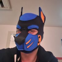 Pup_Temper (@pup_temper2) 's Twitter Profile Photo Pup_Temper (@pup_temper2) 's Twitter Profile Photo