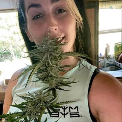 The Humbldt Hot Girl 🌿B 420 friendly 🪴🌱we Award wining Cultivator of Exotic Greens. Advertising & worldwide shipping of Buds,vapes, Cd oil,runtz,seeds 21+💨