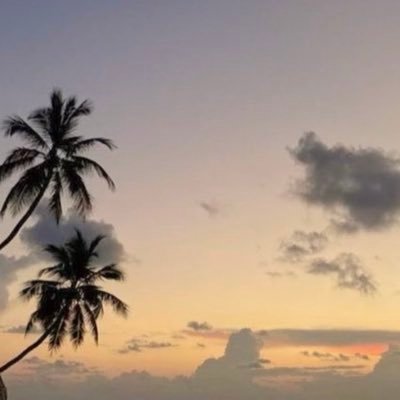 aIibalii's profile picture. 