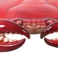 crabby is still masking 😷 (@eatatyranno) 's Twitter Profile Photo crabby is still masking 😷 (@eatatyranno) 's Twitter Profile Photo