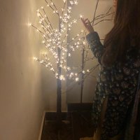 Mehru (@maryamk75727993) 's Twitter Profile