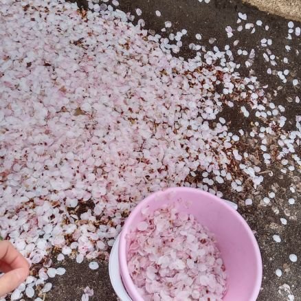 ogawa_1104's profile picture. 公務員→事業会社へ転職  
RUNTEQ44期生