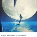 Adam Mather-Brown - @AdamMB007 - Twitter