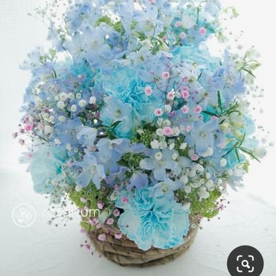 楽しいFXetc気が向いたら見てね。(face with flower)　URL     https://t.co/H5ae8zMe82