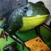 Coleman Frog (@colemanfrogg) Twitter profile photo Coleman Frog (@colemanfrogg) Twitter profile photo