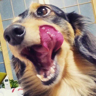 kyo_felove's profile picture. Twitterじゃ恐らく出会えないと悟った裏垢 ほぼ都内在住 26歳177cm #裏垢男子