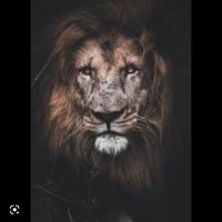 Zie-Watters (@zie_athletics7) 's Twitter Profile Photo