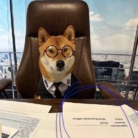 HousesPeaker (@88mphdoc) 's Twitter Profile