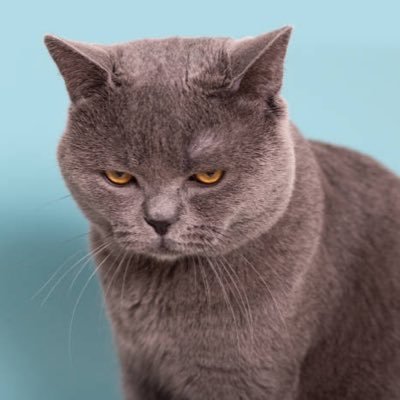 xxshiningneo's profile picture. she/her 24