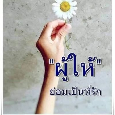 JackKrittayan's profile picture. Do my best for today and go further for next day.