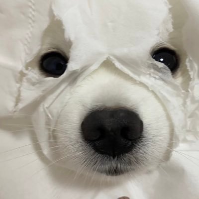 xiaoyue01's profile picture. 随便发发