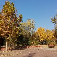 SongYupeng (@linuxdev9) 's Twitter Profile