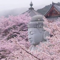 鼎叔 (@tutulove19) 's Twitter Profile