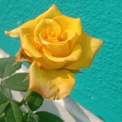 Sharmila031299's profile picture. Never forget 2 persons in life... That are 'daddy and mummy '