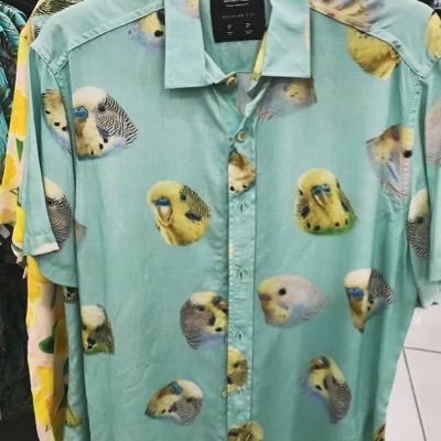 3ikibirr's profile picture. 