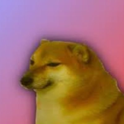 RandomCheem's profile picture. random dude who follows cool people