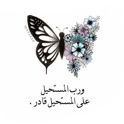 FedakRohy's profile picture. اللهم الأشياء الحلوة تظل حلوه دائما🕊️