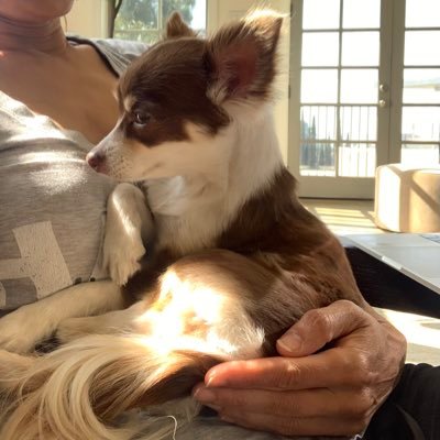 kavitapatil8's profile picture. 