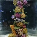 Lissa May Balanza - @lyz_may30 - Twitter