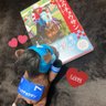 zunmj's profile picture. 🏇競馬🏇👑アーモンドアイ👑オジュウチョウサン🐴ステイゴールド一族/ゴールドシップ/ウインブライト/クロコスミア /ブラックホール/ユーバーレーベン/ウインキートス/ウインマイティー/マイネルグロン/メイショウタバル/マイネルエンペラー/コガネノソラetc⭐️別垢🐯阪神🎵嵐💜松本潤ｻﾝ 🚛転勤族嫁