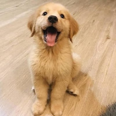 natsu3_0415's profile picture. 