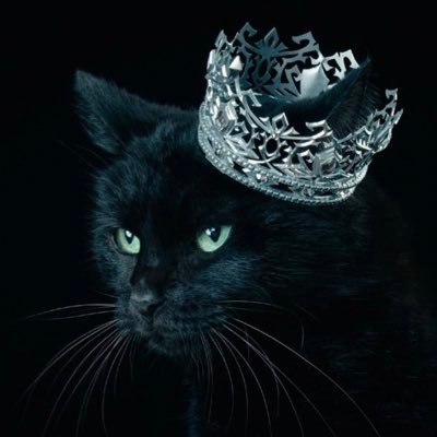 GM6_BeN's profile picture. Aimer/TYPE-MOON