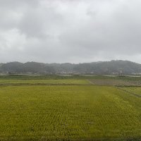 マイペースな旅人 (@mypace_tabibito) 's Twitter Profile