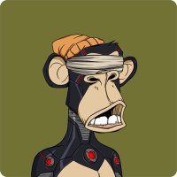 NFT King (@musknf) 's Twitter Profile